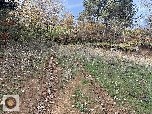 KESTEL LÜTFIYE MH SATILIK 1806M2 TARLA ASVALT YOLA CEPHE - BURSA KESTEL fotoğraf 20