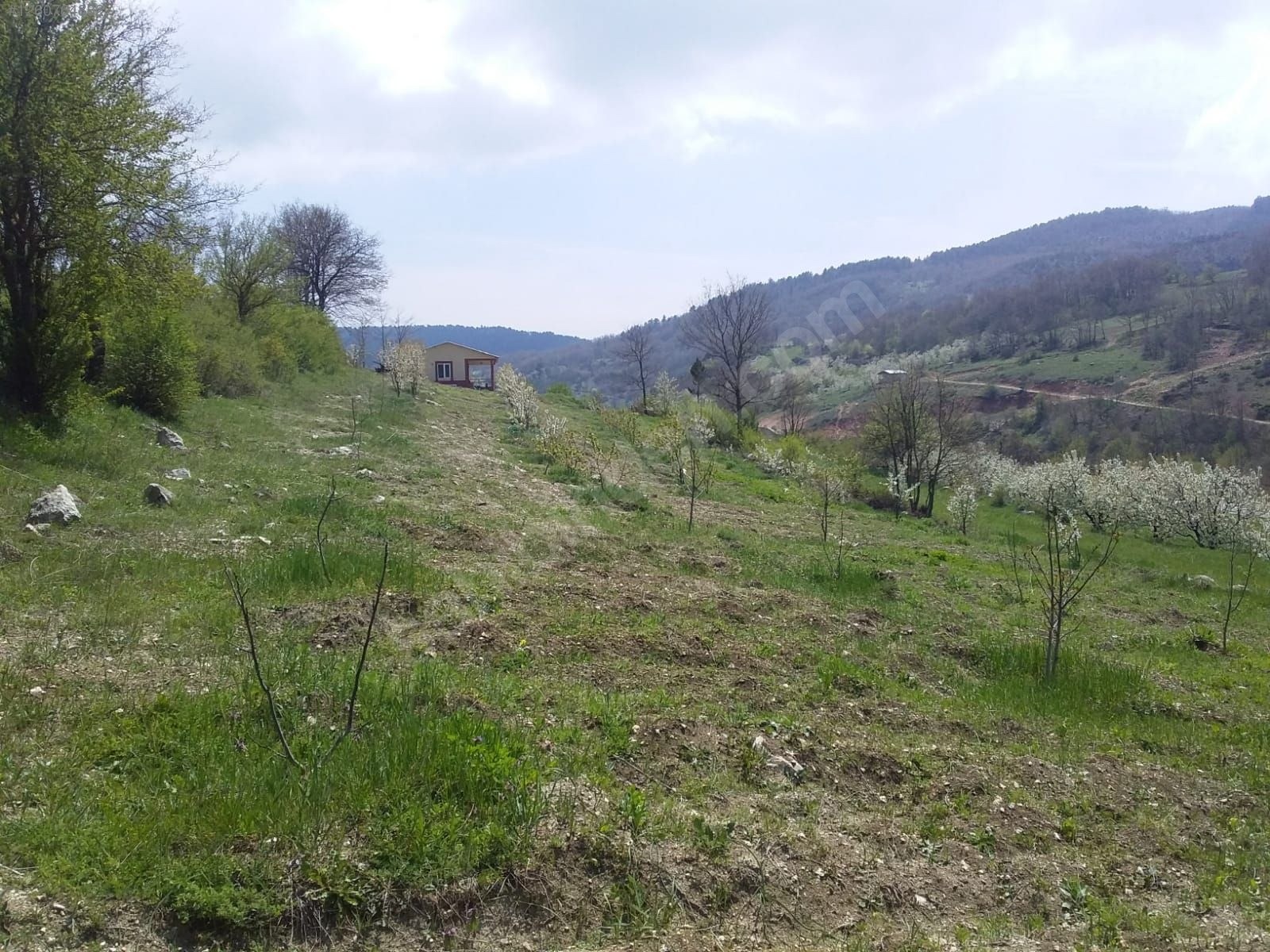 KELES BARAKLI 3928 M2 YAPI KAYITLI SATILIK BAĞ EVİ - BURSA KELES fotoğraf 4