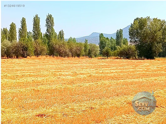 KONYA SEYDİŞEHİR AKÇALAR DA 825 M² TARLAMIZ SATILIKTIR - KONYA SEYDİŞEHİR fotoğraf 6