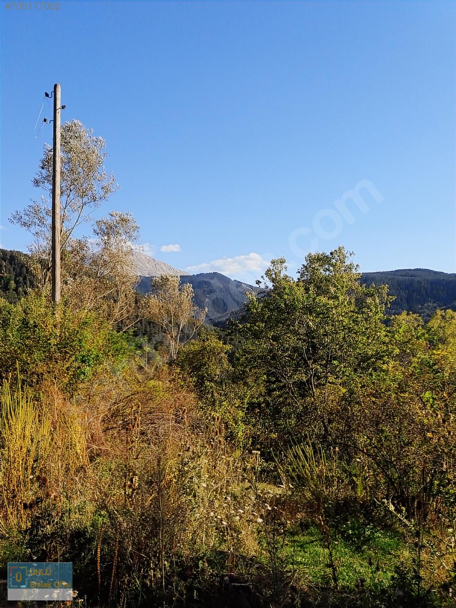 ÜNLÜ EMLAKTAN ILGAZ MANZARALI ORMAN İÇİNDE 50 DÖNÜM CAZİP ARAZİ - KASTAMONU MERKEZ fotoğraf 6