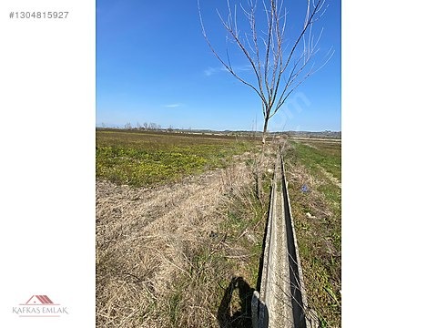 KAFKAS EMLAKTAN DEMİRELİ DE 5.600 M2 TARLA - BURSA MUSTAFAKEMALPAŞA fotoğraf 5