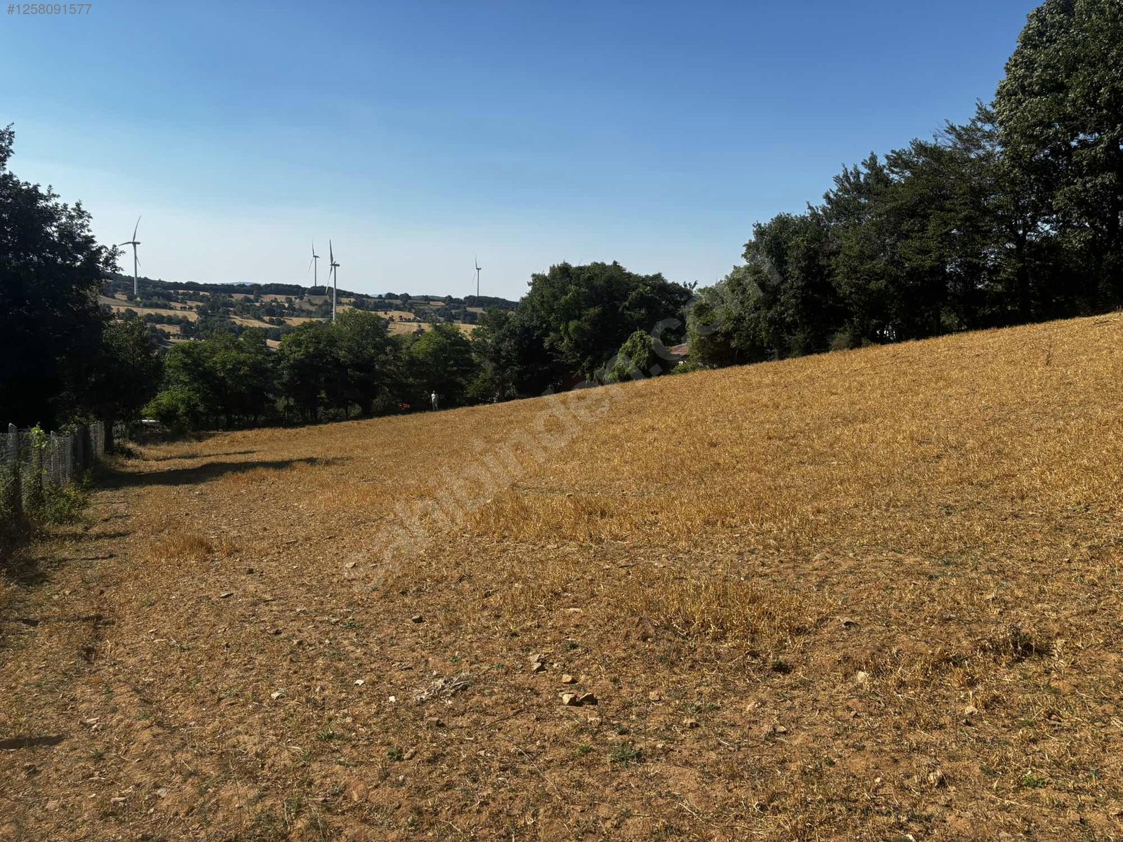 BALIKESİR KARESİ YEROLUK  KÖYÜNDE  2.621 M²  ARSA  SATILIKTIR - BALIKESİR KARESİ fotoğraf 7
