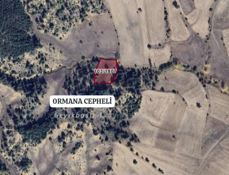 KÜTAHYA ÇAVDARHİSAR KIZIK 2.915 M²  TARLA SATILIKTIR - KÜTAHYA ÇAVDARHİSAR fotoğraf 3
