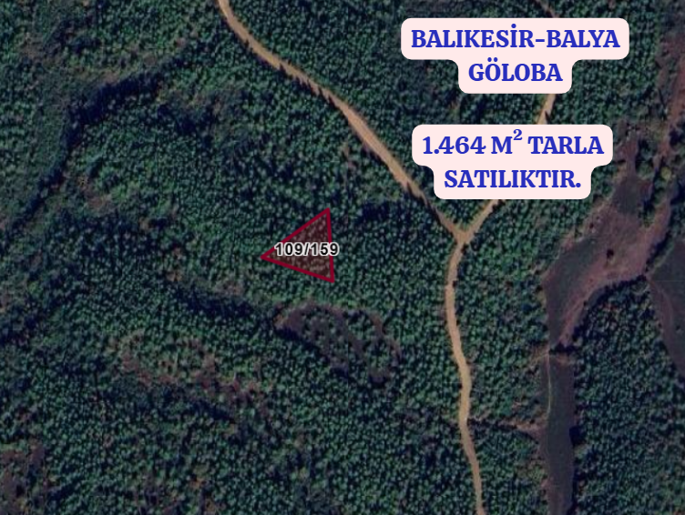 BALIKESİR BALYA GÖLOBA  KÖYÜNDE 1.464 M² TARLA SATILIKTIR - BALIKESİR BALYA fotoğraf 2