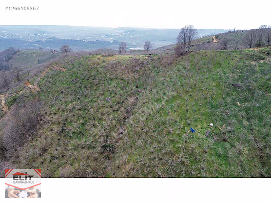 DÜZCE AKÇAKOCA DA EV YAPIMINA UYGUN SATILIK 7.768 M2 FINDIKLIK - DÜZCE AKÇAKOCA fotoğraf 46