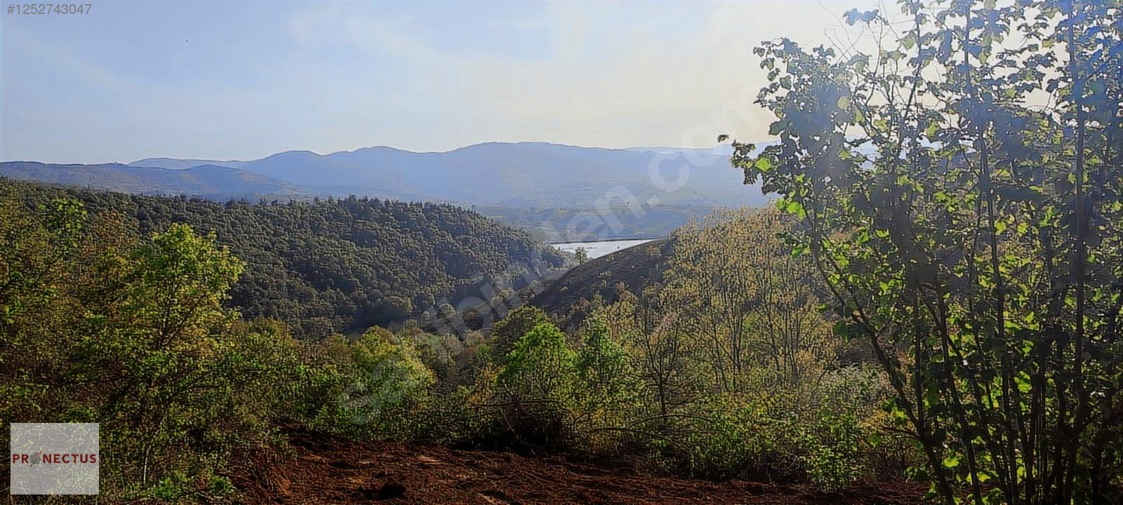 ÇAMDİBİ BOZKURT MAHALLESİNDE 665 M2 SATILIK TARLA - KOCAELİ KARAMÜRSEL fotoğraf 2