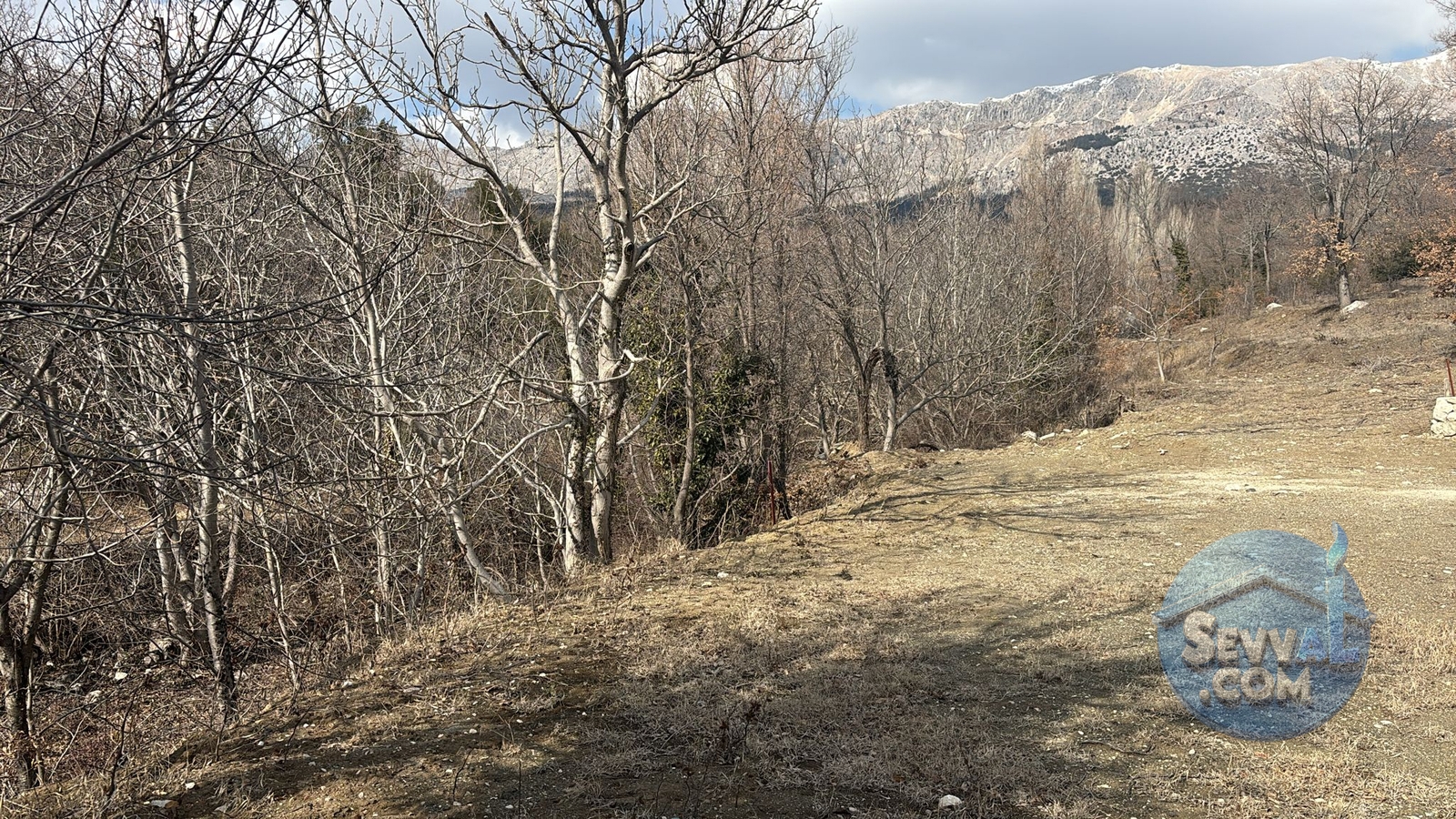 AĞLASUN SAKARCA MAHALLESİNDE SATILIK MUHTELİF ARSA - Burdur Ağlasun fotoğraf 7