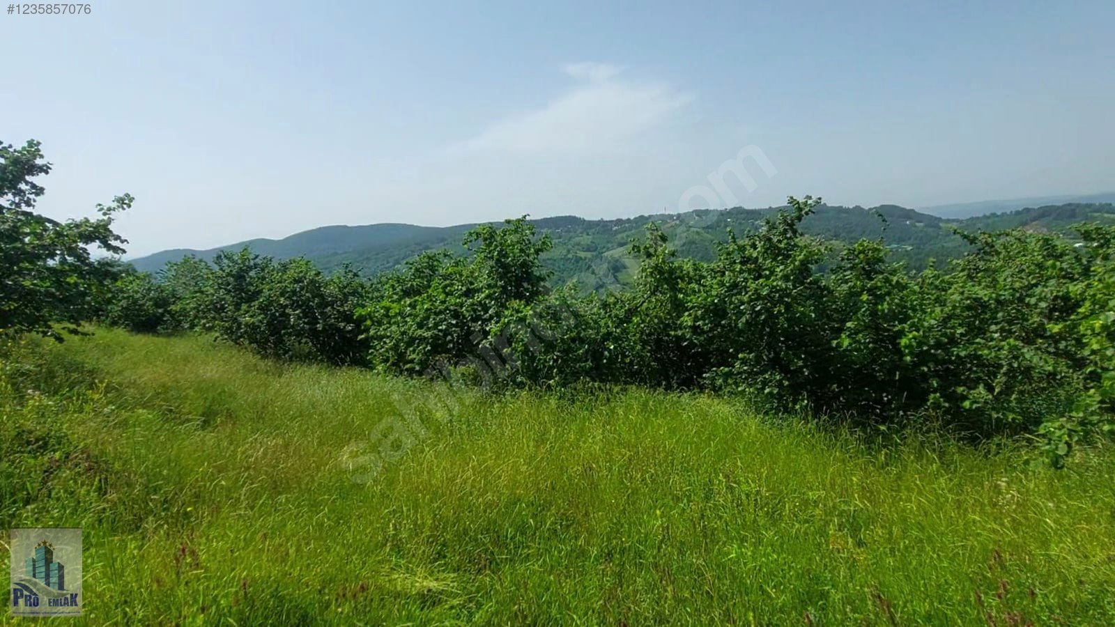 DÜZCE KAYNAŞLI BIÇKIYANI K TOPUK YAYLASINA 3 KM %50 İMARLI ARSA - DÜZCE KAYNAŞLI fotoğraf 5