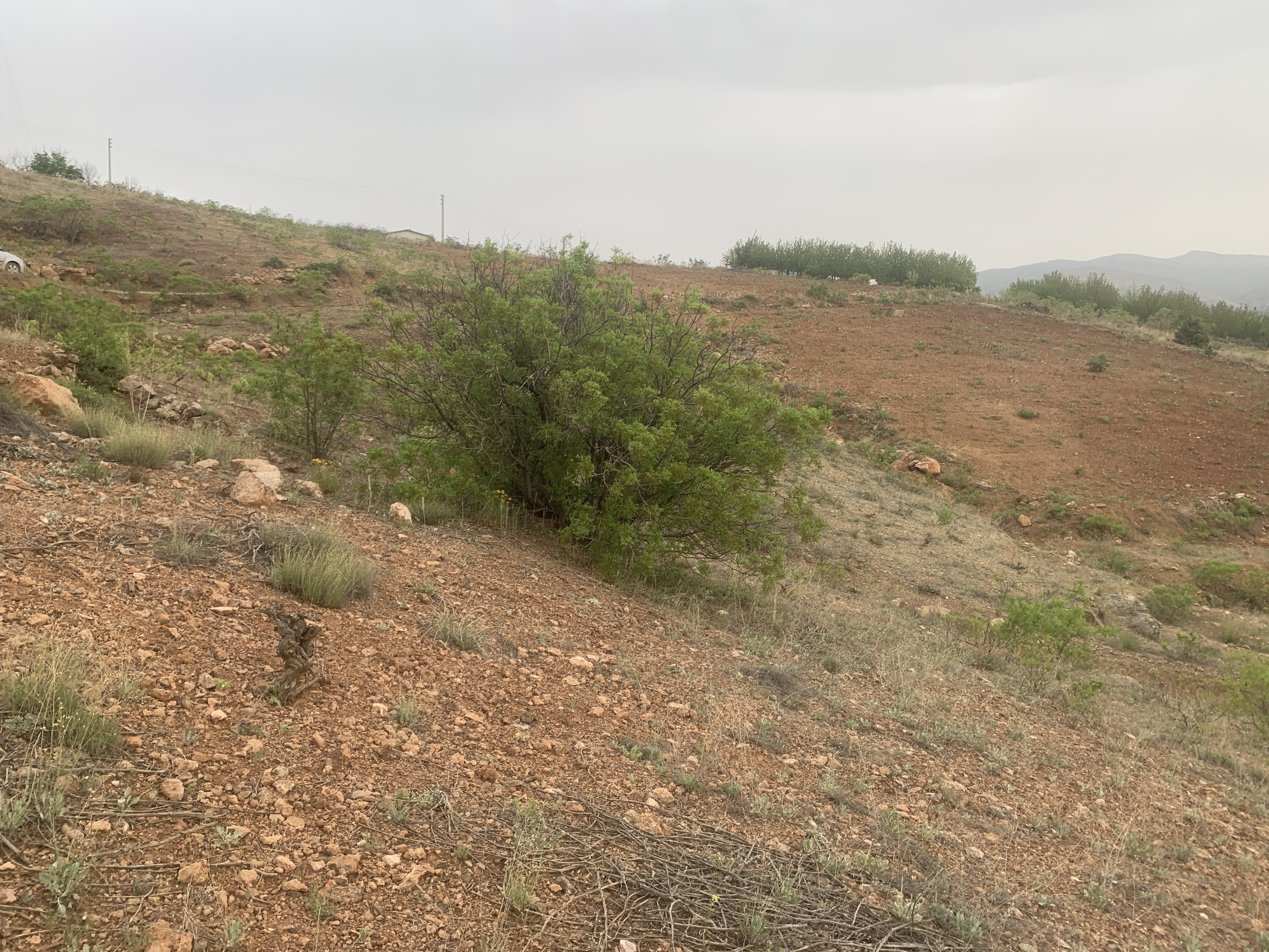 KONYA HADİM AŞAĞI EŞENLER KÖYÜNDE 1.064 M² TARLA SATILIKTIR - KONYA HADİM fotoğraf 24