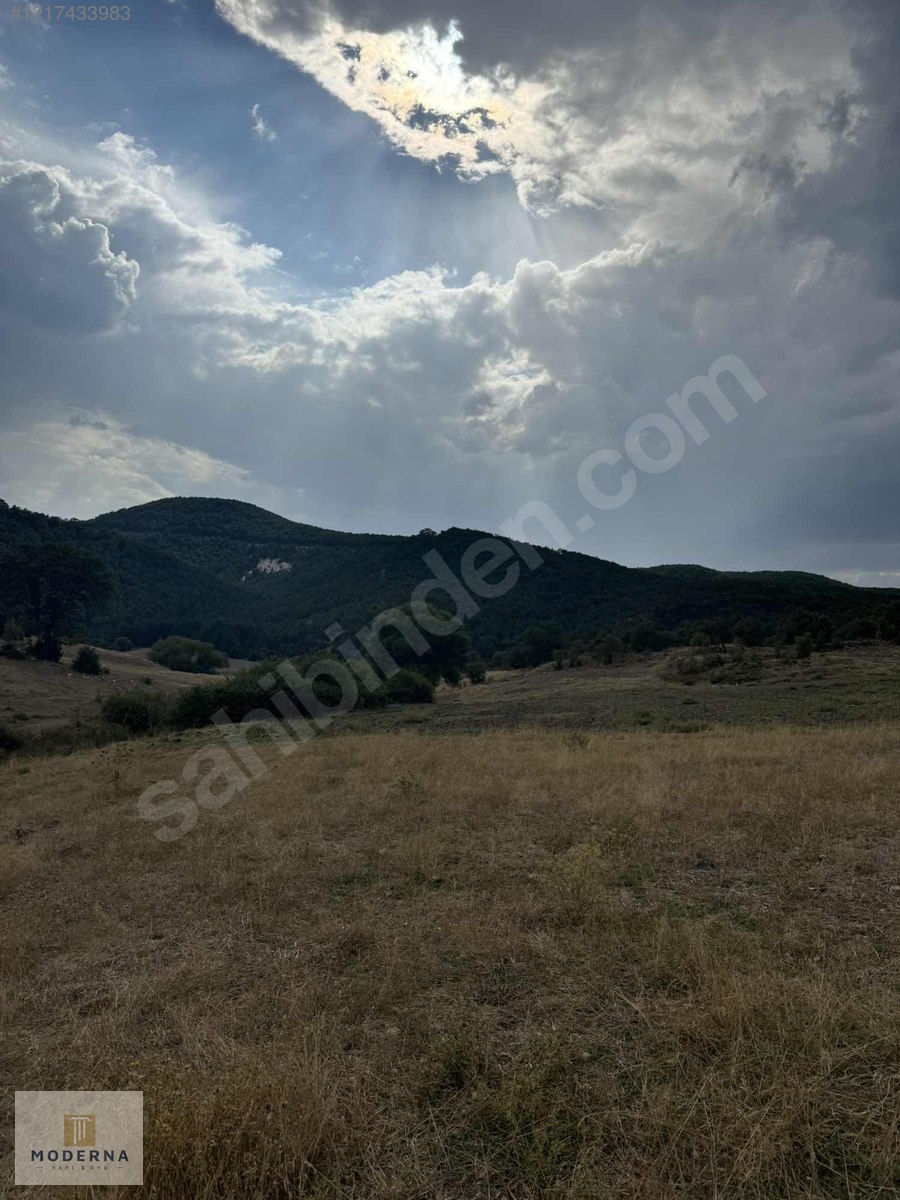 ESKİŞEHİR YAPILDAK YAYLASINDA MANZARALI 1.505 M2 TEK TAPU FIRSAT - ESKİŞEHİR SEYİTGAZİ fotoğraf 9