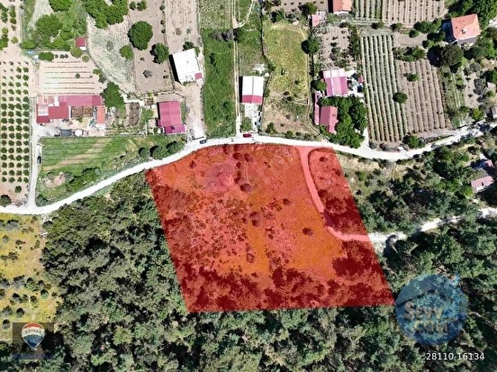 KUŞADASI KİRAZLI KÖYÜ’NDE SATILIK 6152 M2 TARLA - AYDIN KUŞADASI fotoğraf 7