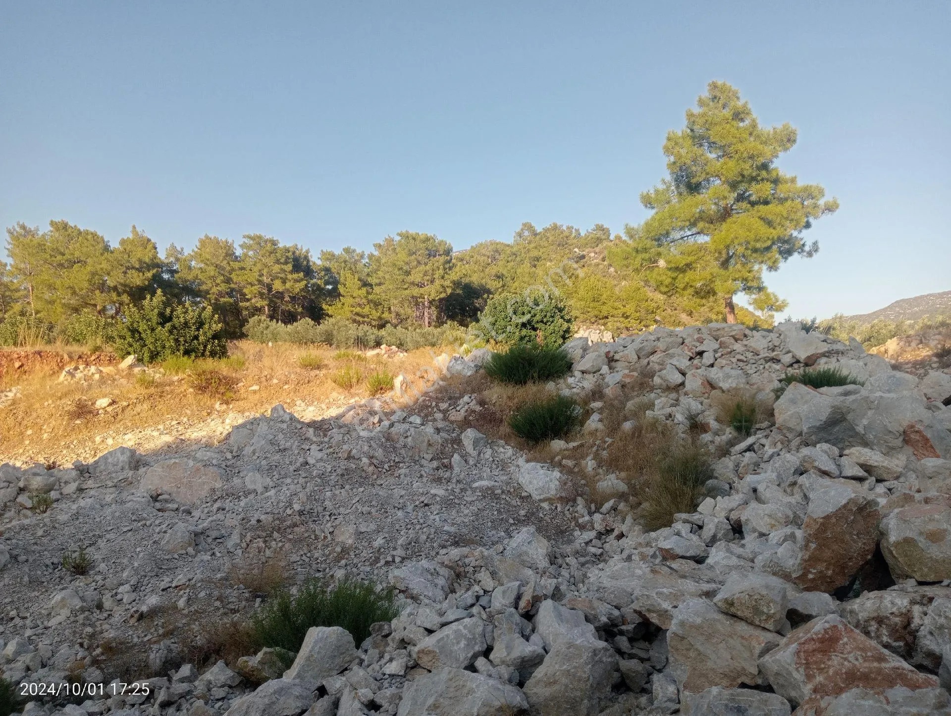Antalya Kumluca Mavikent'te Satılık Tarla İnceoğlu Emlak - ANTALYA KUMLUCA fotoğraf 22