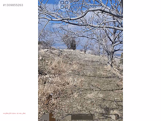 KEMER DE ŞEHİR MANZARALI 7500M2 İÇİNDE 50 KADAR YETİŞMİŞ CEVİZ - BURDUR KEMER fotoğraf 10