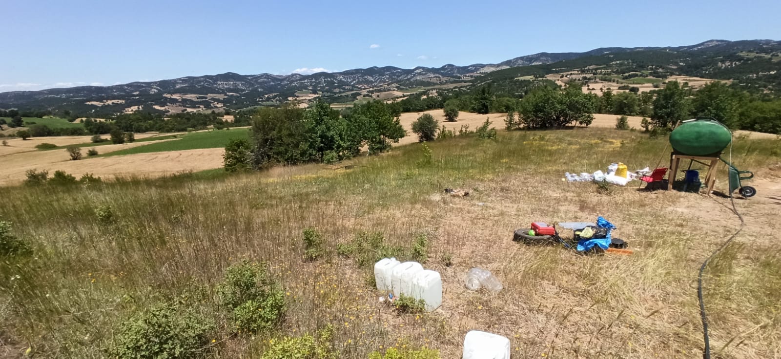 BİLECİK YENİPAZAR SORGUNCUKAHİLER   KÖYÜNDE 2.472  M²  MEYVE BAHÇESİ  SATILIKTIR - BİLECİK YENİPAZAR fotoğraf 7