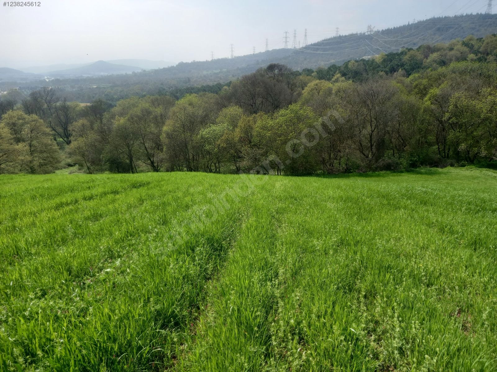BURSA KESTEL ERDOĞAN KÖYÜ'NDE 3.663  M² TARLA SATILIKTIR - BURSA KESTEL fotoğraf 9