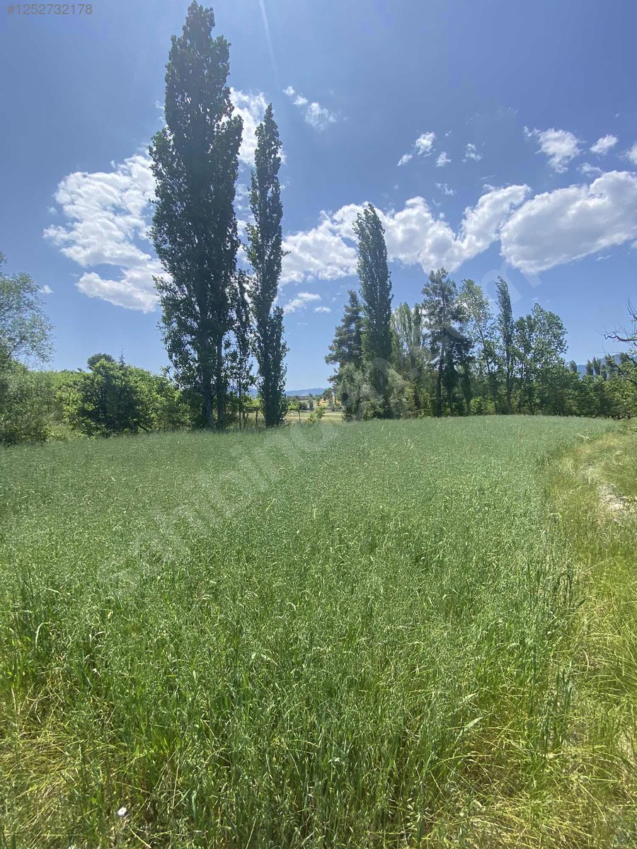 Antalya / Kaş / Yaylapalamut Mahallesinde 1.299 m² SATILIK ARSA  - ANTALYA KAŞ fotoğraf 2