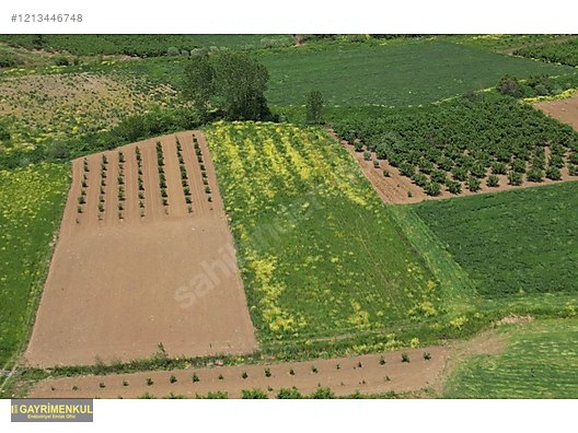 YATIRIM FIRSATI 3.962 M² TARLA FERİZLİ SARIAHMETLER MAH. - SAKARYA FERİZLİ fotoğraf 13