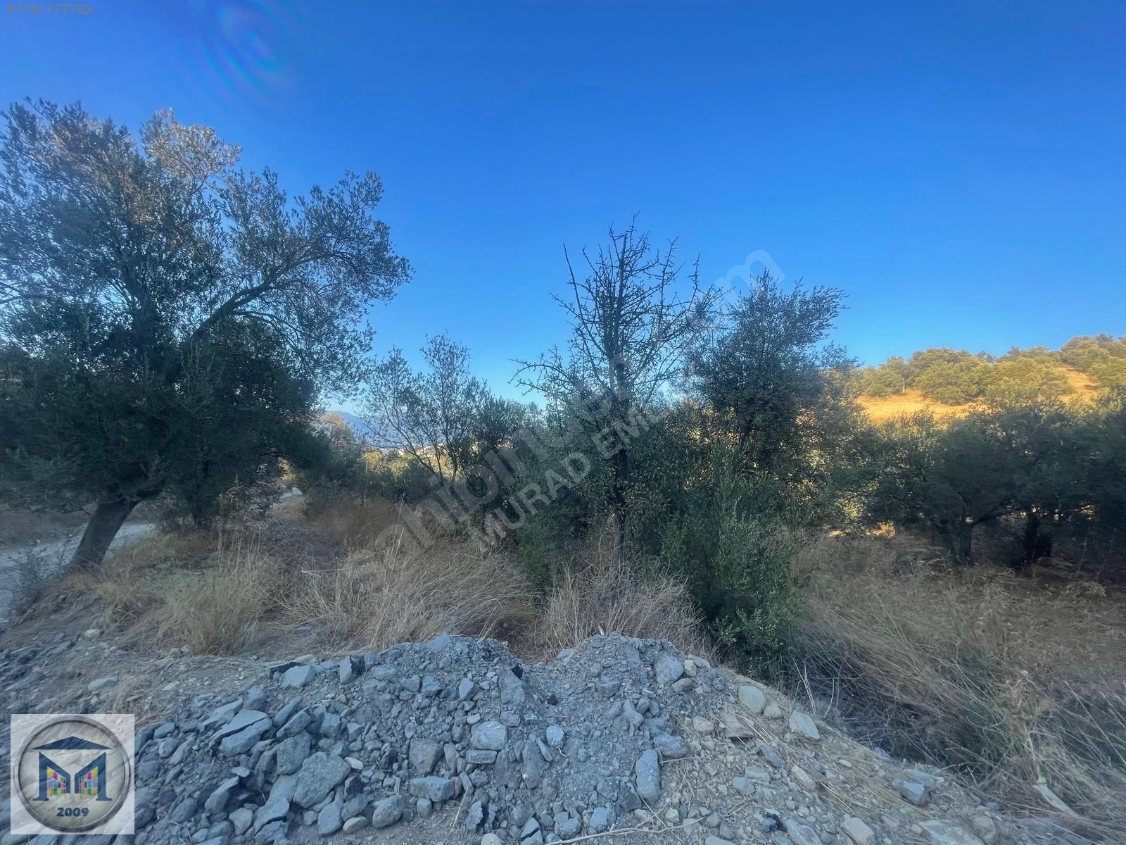 PELİTKÖY SAHİLDE İMARA 650 METRE SATILIK 6.500M2 ZEYTİNLİK - BALIKESİR BURHANİYE fotoğraf 6
