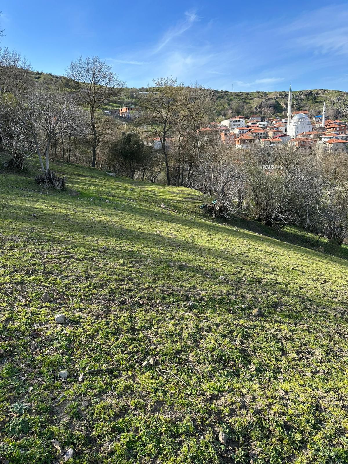 BALIKESİR ALTIEYLÜL DEDEBURNU   KÖYÜNDE 1.969  M²  TARLA  SATILIKTIR - BALIKESİR ALTIEYLÜL fotoğraf 9