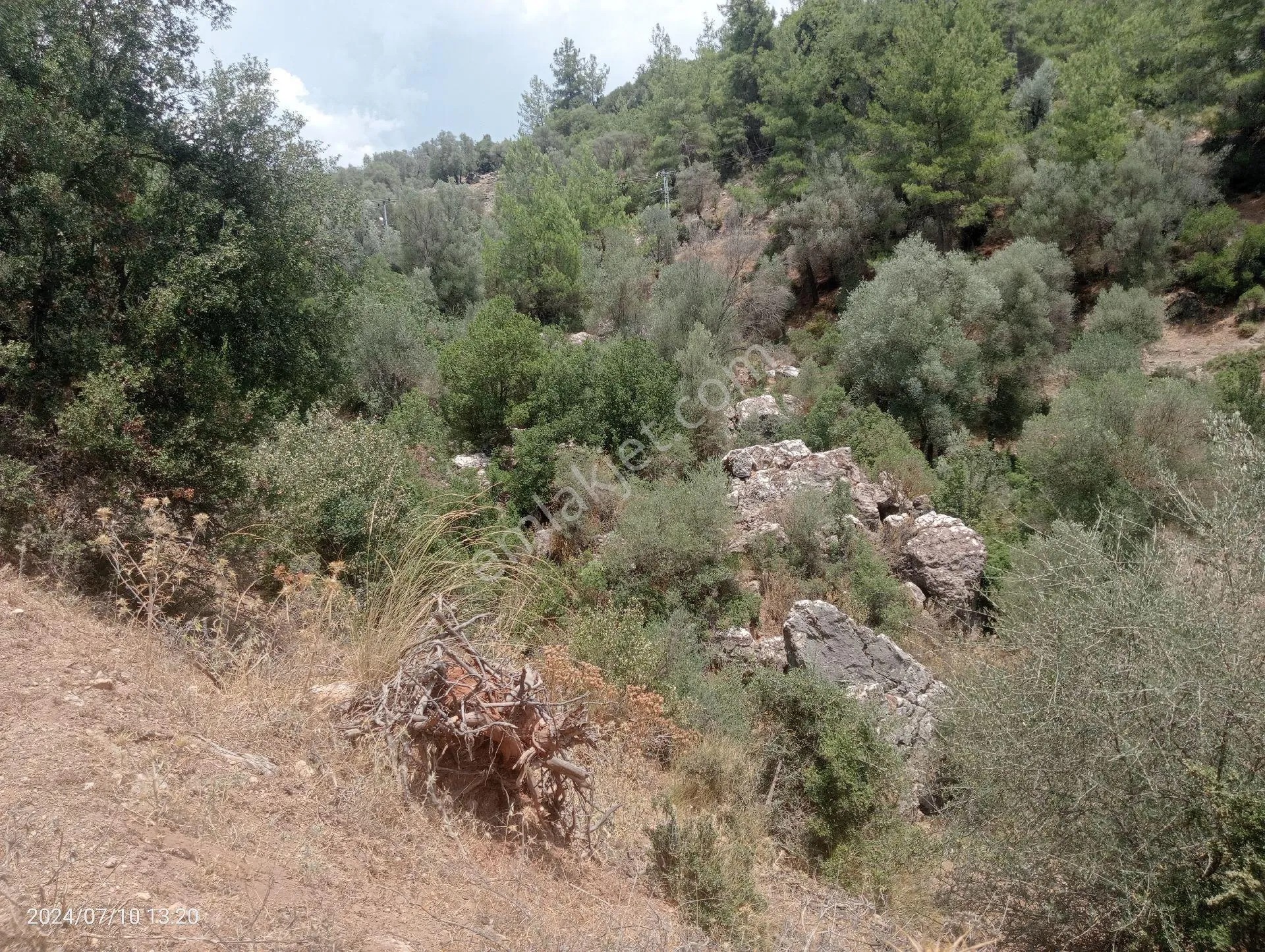 Antalya Kumluca Orta Köyde Satılık Tarla İnceoğlu Emlak - ANTALYA KUMLUCA fotoğraf 3