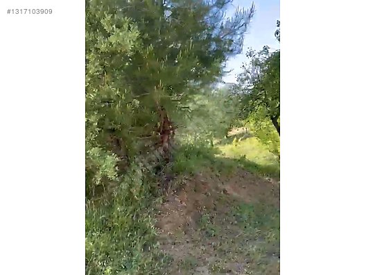 ÇANAKKALE BAYRAMİÇ SERHAT KÖYÜ 526 m2 % 80 İMARLI ARSA - ÇANAKKALE BAYRAMİÇ fotoğraf 11