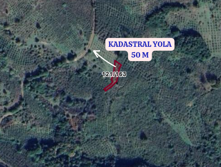 KOCAELİ KANDIRA YAĞCILAR  KÖYÜNDE 541  M² FINDIKLIK  SATILIKTIR - KOCAELİ KANDIRA fotoğraf 3
