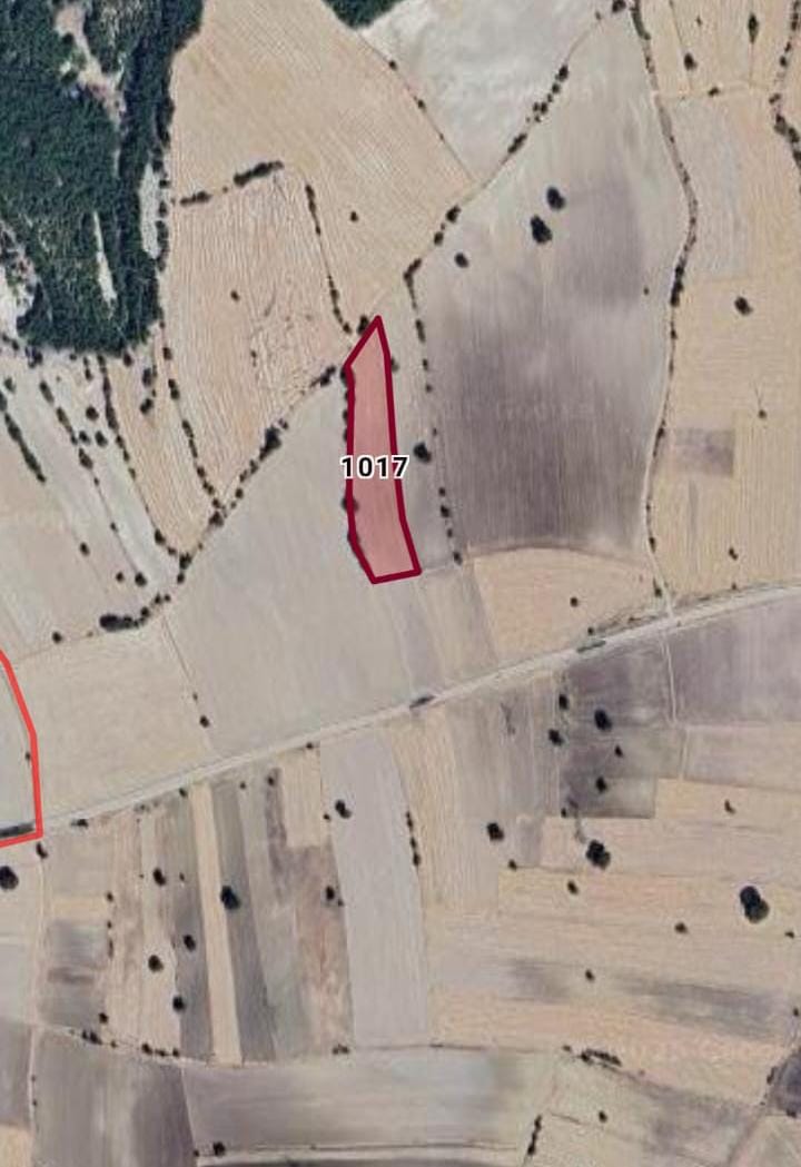 KÜTAHYA GEDİZ GÜZÜNGÜLÜ KÖYÜNDE 7.650 M² TARLA SATILIKTIR. - KÜTAHYA GEDİZ fotoğraf 3
