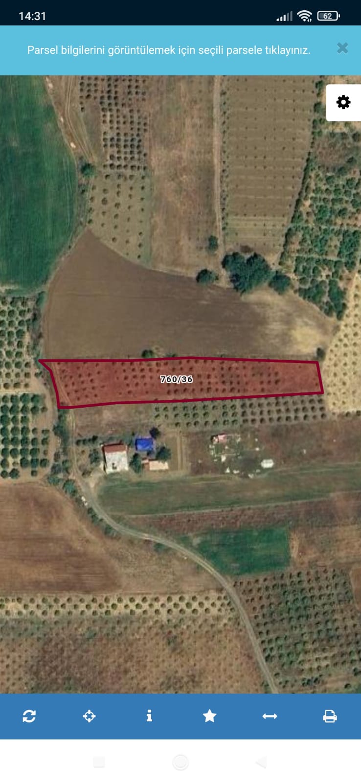 Hatay Arsuz Avcılar suyunda Yatırımlık Zeytin Ağaçlı Arsa  2.900 M² - HATAY ARSUZ fotoğraf 4