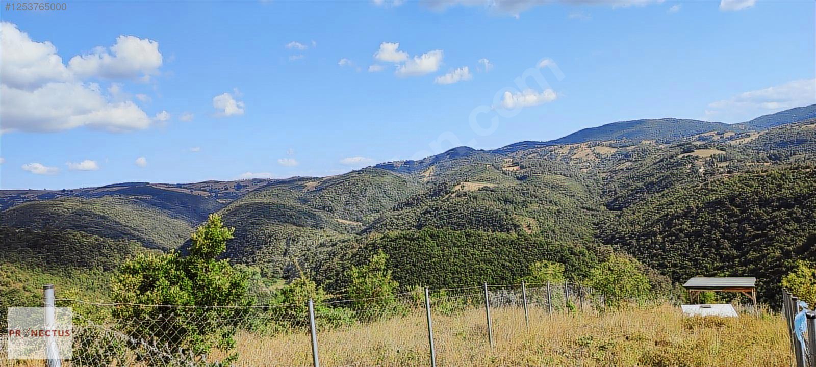 ÇAMDİBİ BOZKURT MAH. 1448 M2 %5 İMARLI ARSA. - KOCAELİ KARAMÜRSEL fotoğraf 14