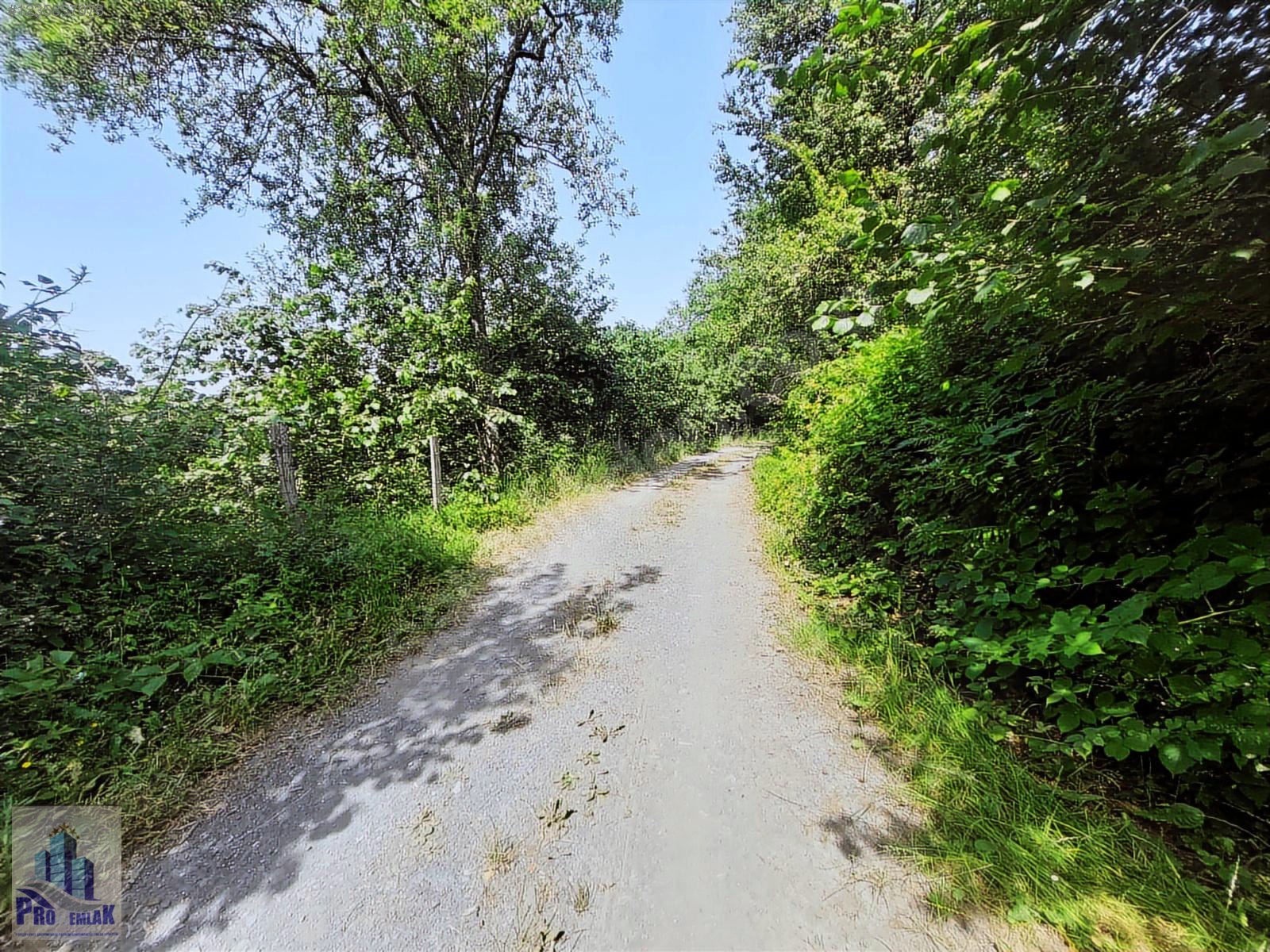 DÜZCE KAYNAŞLI BIÇKIYANI K TOPUK YAYLASINA 3 KM %50 İMARLI ARSA - DÜZCE KAYNAŞLI fotoğraf 3