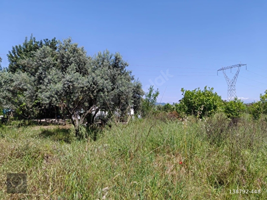 FETHİYE PATLANGICTA SATILIK TARLA 1850 m² KÖŞE PARSEL - MUĞLA FETHİYE fotoğraf 12