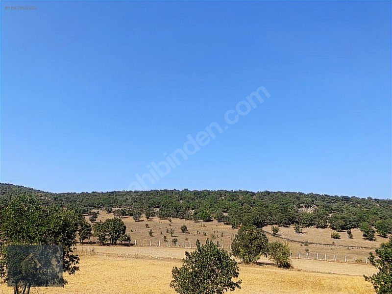 YOK BÖYLE FİYAT!! 45.321 M2 DURSUNBEY/KARAMANLARDA FIRSAT ARAZİ - BALIKESİR DURSUNBEY fotoğraf 2