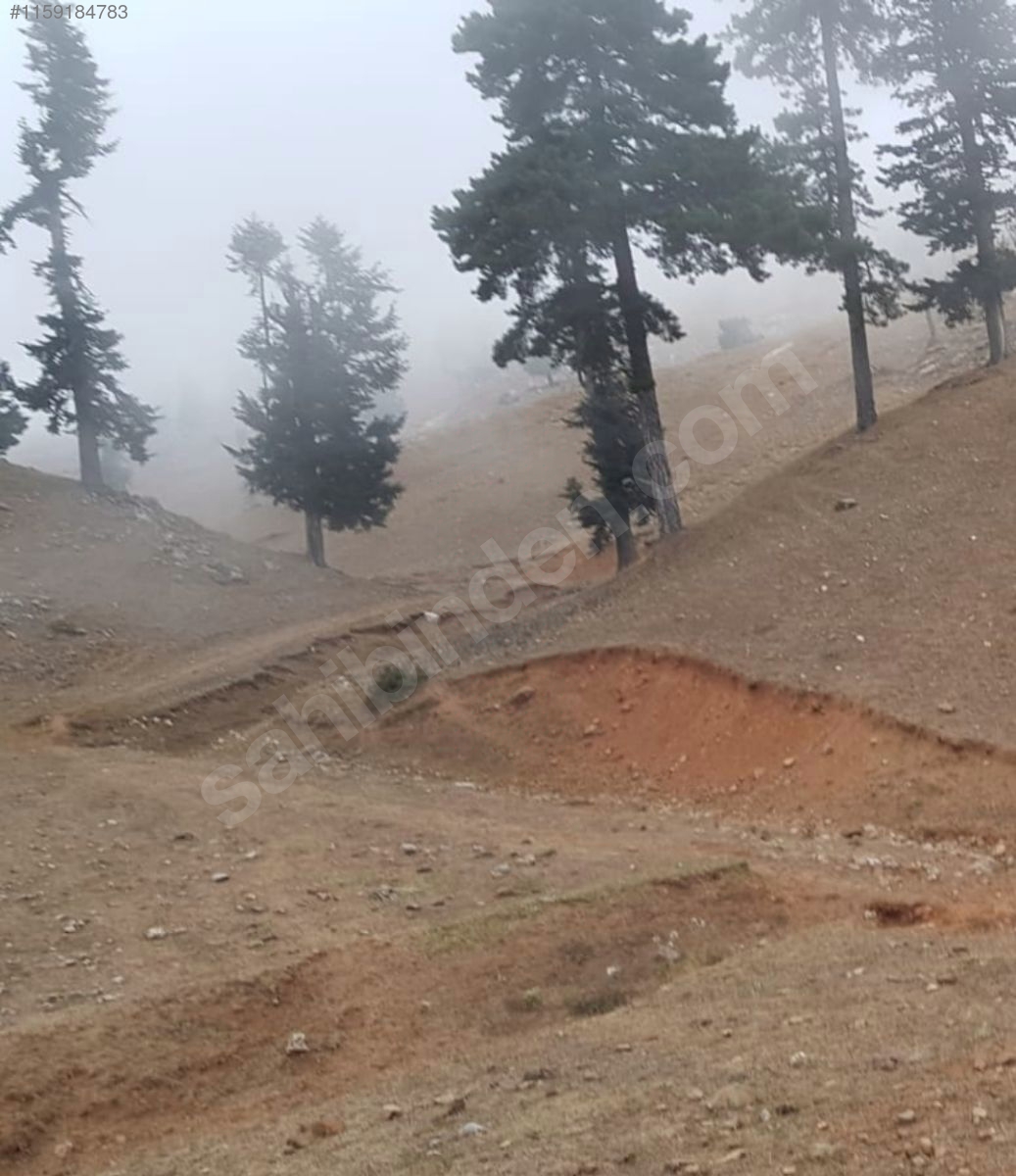 FEKE KOVUKÇINARDA YAYLALIK YATIRIMLIK ARAZİ 4510M² - ADANA FEKE fotoğraf 4
