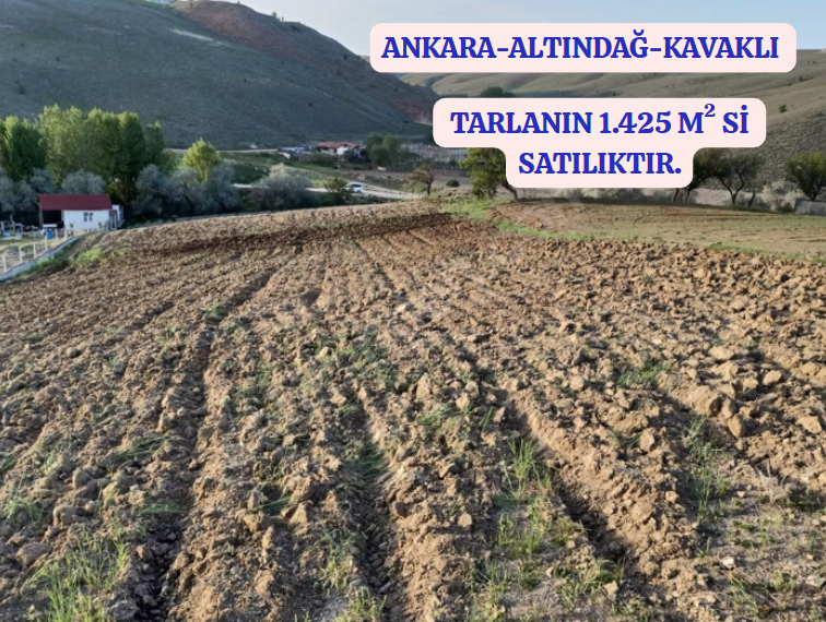 ANKARA ALTINDAĞ KAVAKLI KÖYÜNDE TARLAMIZIN 1.425 M² Sİ  SATILIKTIR - ANKARA ALTINDAĞ fotoğraf 2