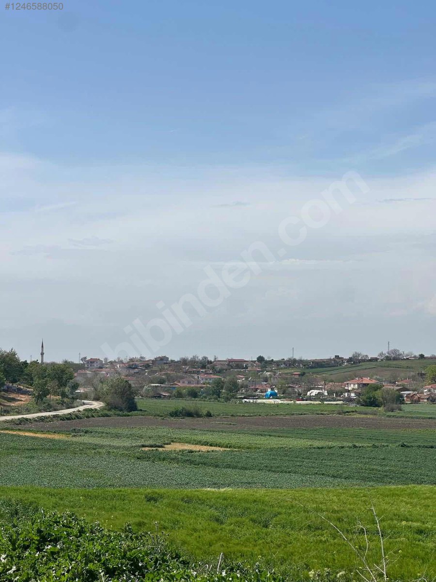 EDİRNE UZUNKÖPRÜ DEREKÖY  KÖYÜNDE 4.298 M² TARLA SATILIKTIR - EDİRNE UZUNKÖPRÜ fotoğraf 5