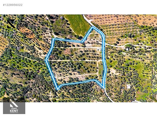 Kemalpaşa Vişneli Satılık 370 m2 Bahçe Elektrik Su Yol - İZMİR KEMALPAŞA fotoğraf 6