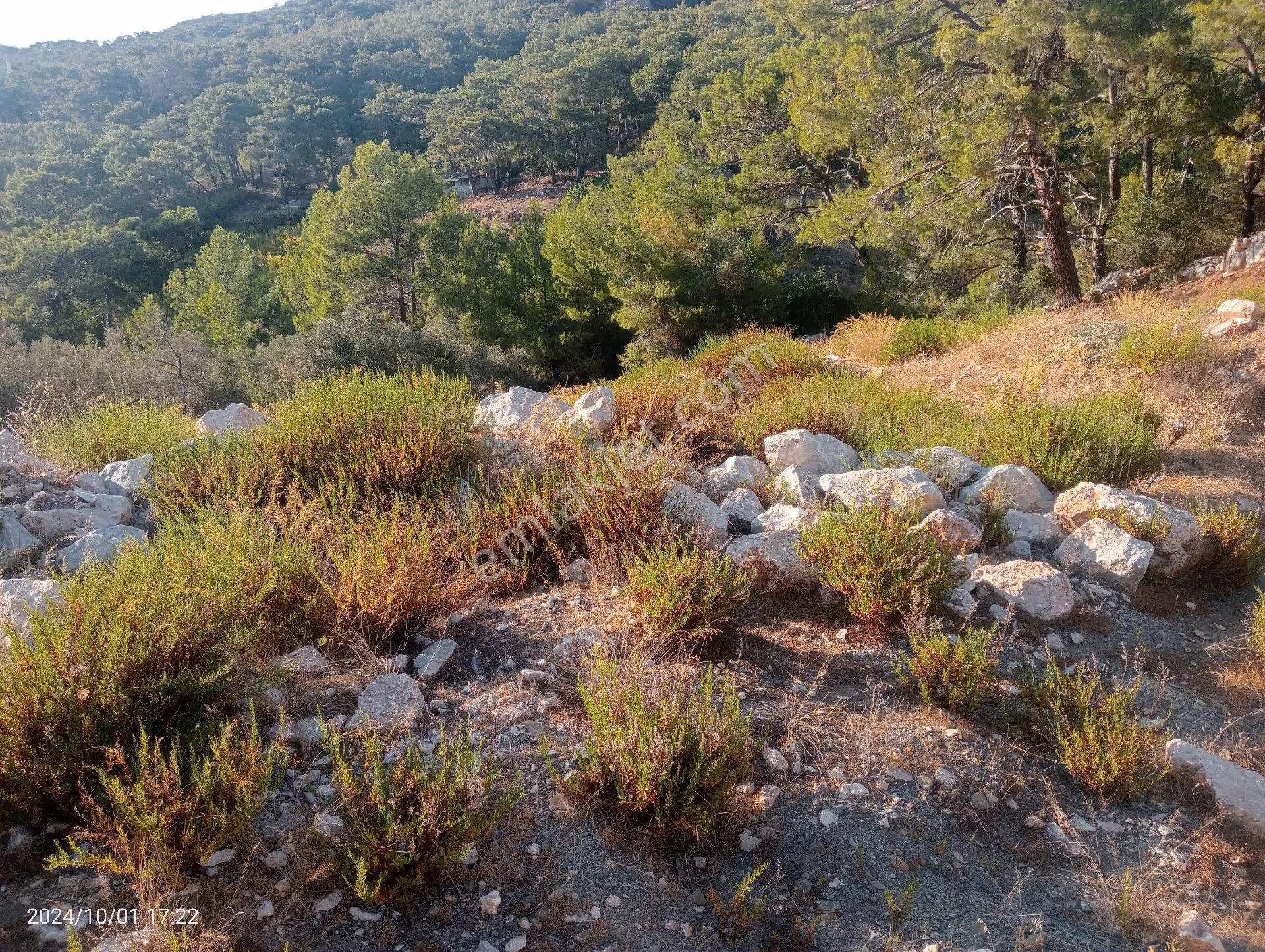 Antalya Kumluca Mavikent'te Satılık Tarla İnceoğlu Emlak - ANTALYA KUMLUCA fotoğraf 32