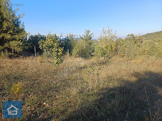ÇAĞLAR'DAN TOPRAKDERE DE 823m2 MÜSTAKİL TARLA YOL+SU VAR - BURSA YENİŞEHİR fotoğraf 20
