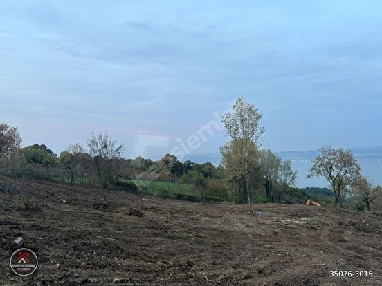 KARAMÜRSEL DEREKÖY’DE 19.309 M² KONUT ALANLI, TARIMSAL KULLANIMA UYGUN YATIRIM A - KOCAELİ KARAMÜRSEL fotoğraf 13