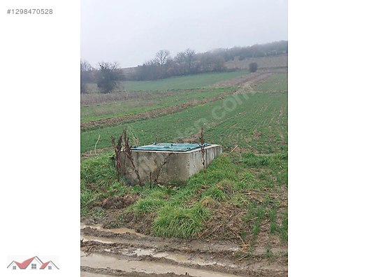 SEÇKİNDEN KURT KÖYDE RESMİ YOL VE SU BULUNAN 304m² SATILIK TARLA - BİLECİK MERKEZ fotoğraf 3
