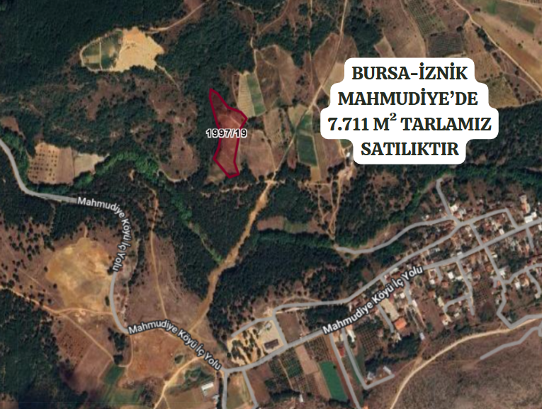 BURSA İZNİK MAHMUDİYE'DE  7.711 M² TARLAMIZ SATILIKTIR - BURSA İZNİK fotoğraf 2