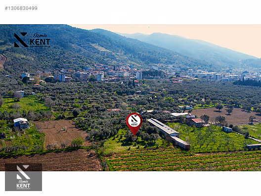 Kemalpaşa Ören Satılık Zeytinlik 1.230 m2 - İZMİR KEMALPAŞA fotoğraf 21