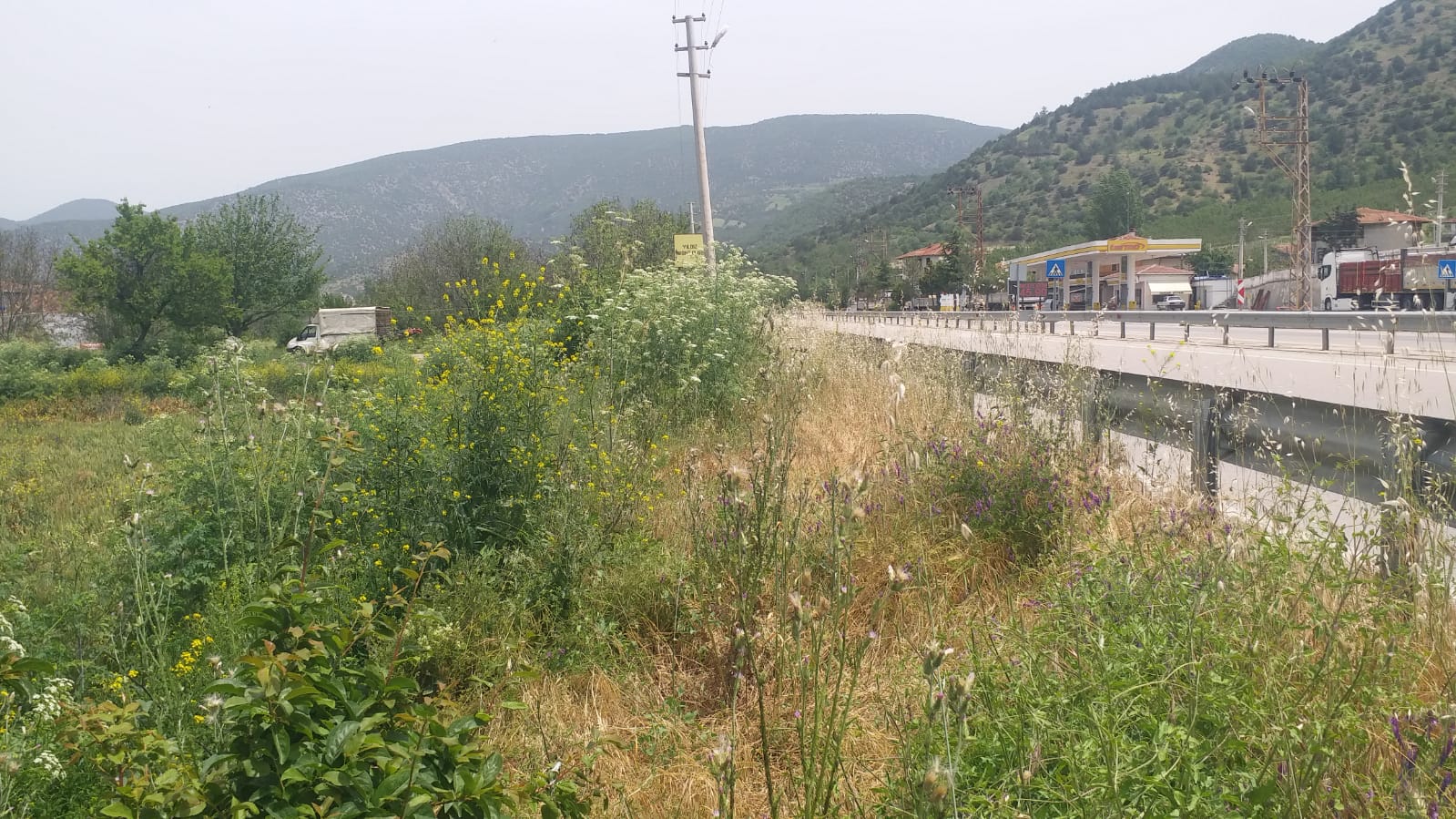Tokat/ Turhal satlik tarla  - TOKAT TURHAL fotoğraf 5