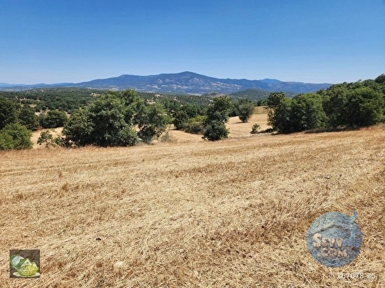 🚨 DURSUNBEY OSB YAKININDA 2.547 M² YATIRIMLIK VERİMLİ TARLA 🚨 - BALIKESİR DURSUNBEY fotoğraf 29