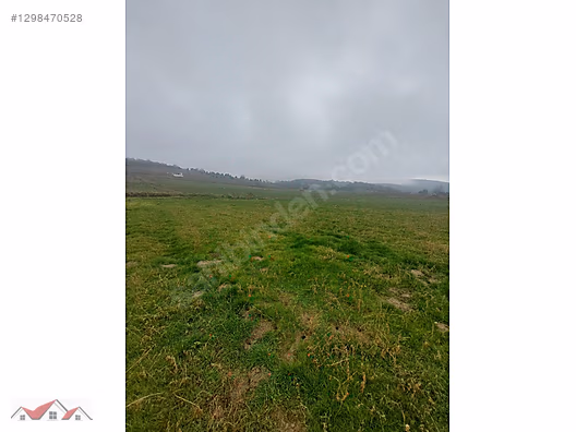 SEÇKİNDEN KURT KÖYDE RESMİ YOL VE SU BULUNAN 304m² SATILIK TARLA - BİLECİK MERKEZ fotoğraf 5