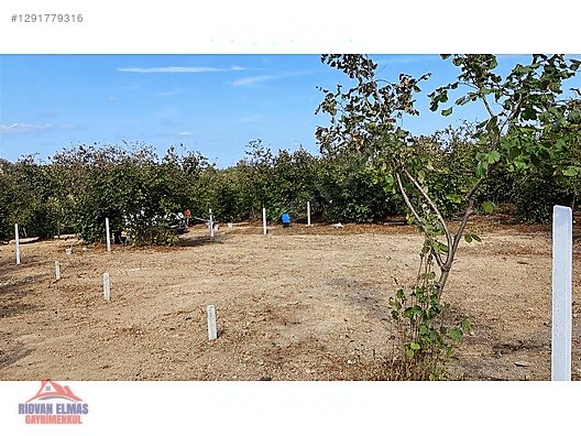 SAKARYA KAYNARCA SATILIK ARSA - SAKARYA KAYNARCA fotoğraf 11