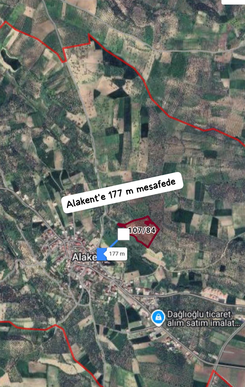 SATILIK 22.620 M² 74 yaşında büyük verimli zeytinlik Hatay / Altınözü / Alakent  - HATAY ALTINÖZÜ fotoğraf 2
