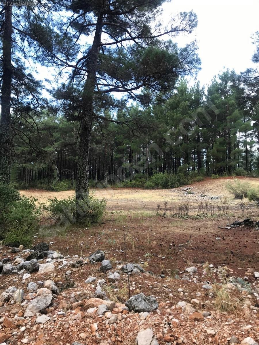 Antalya / Kumluca / Karacaören Mahallesinde 2.492 m² SATILIK ARSA - ANTALYA KUMLUCA fotoğraf 8