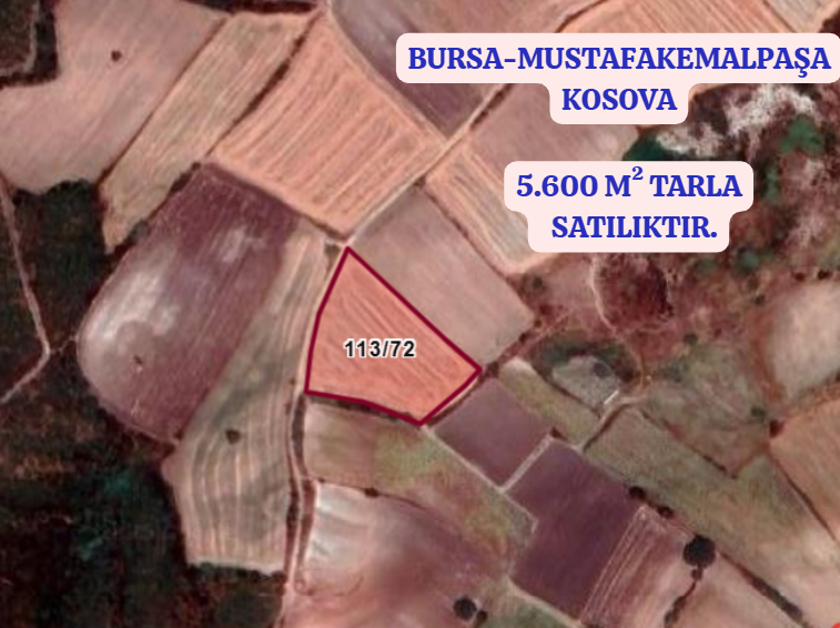 BURSA M.KEMALPAŞA KOSOVA   KÖYÜNDE  5.600 M² TARLA SATILIKTIR. - BURSA MUSTAFAKEMALPAŞA fotoğraf 2
