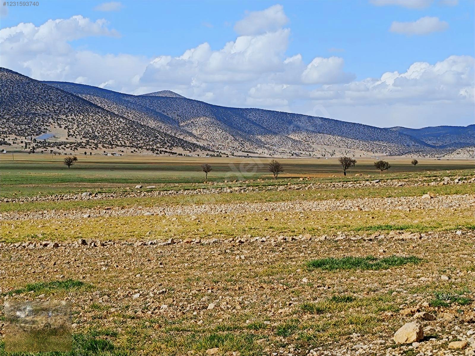 acil satilik!Yazıra datköye komşu imecikte;669m tek tapu yerimiz - ANTALYA KORKUTELİ fotoğraf 25